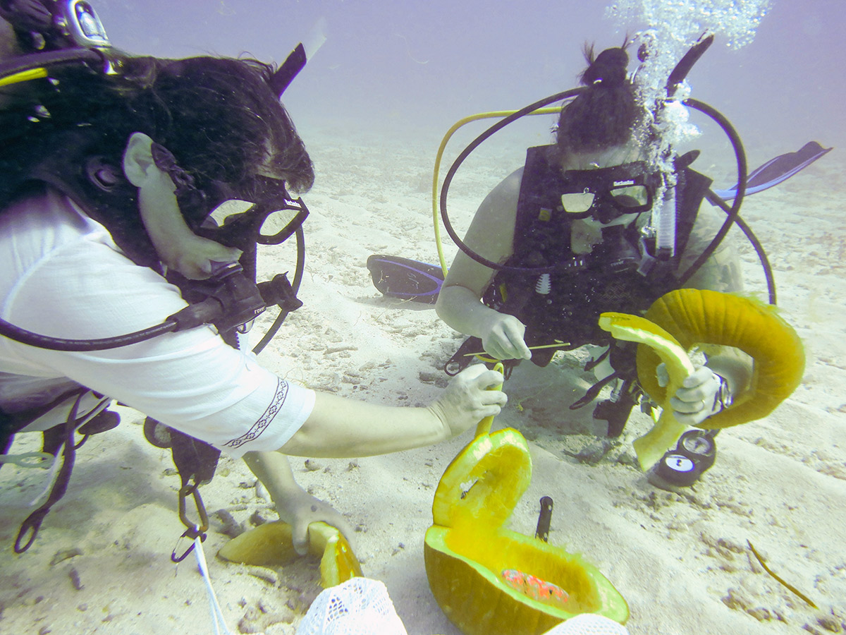 Divers Got Creative During Keys Underwater Pumpkin Carving Competition -  CBS Miami