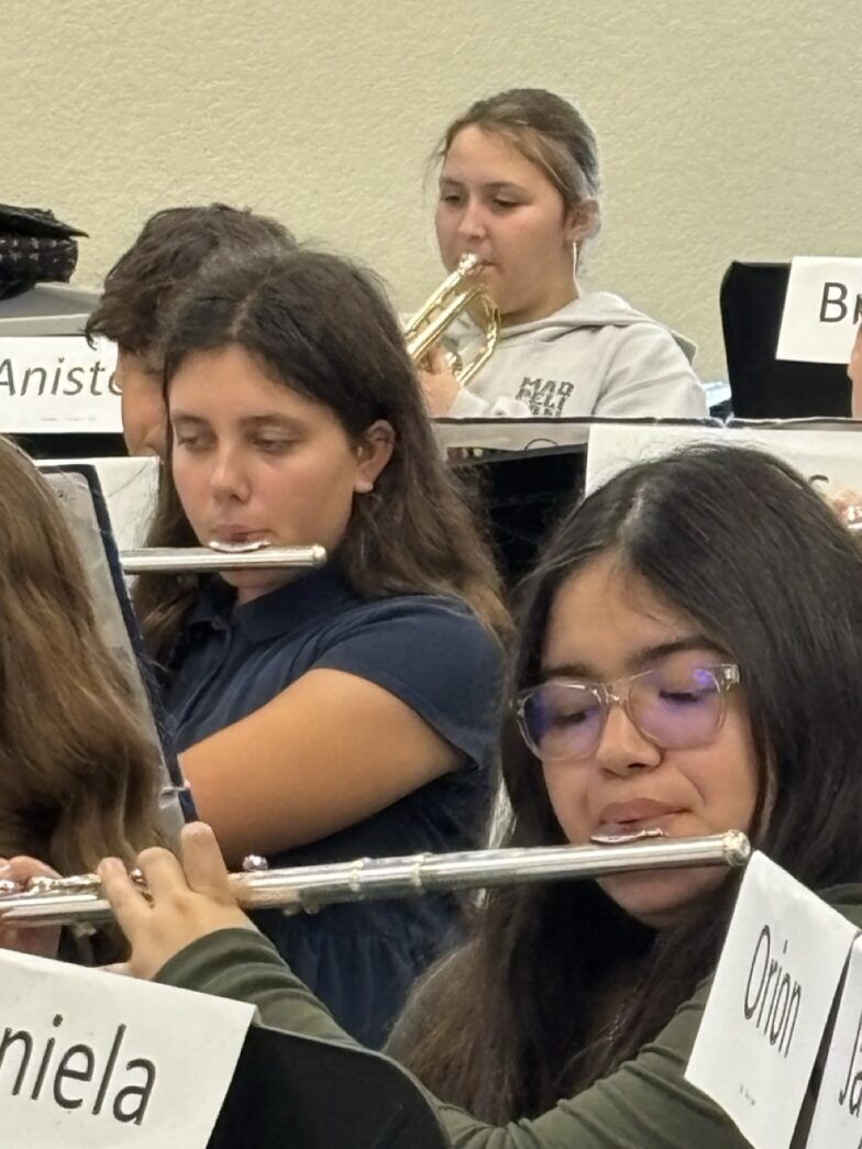 a group of young girls playing musical instruments