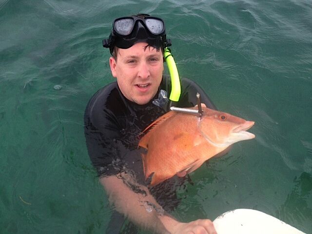 0413FISHhog1 web A person holding a fish swimming under water - Spearfishing