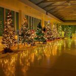 #SeenAroundTown: Festival of Tree culminates in Gala - A group of people in a room - Christmas tree