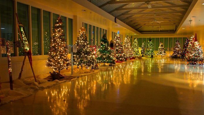 1212zonta1 #SeenAroundTown: Festival of Tree culminates in Gala - A group of people in a room - Christmas tree