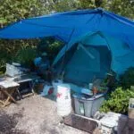 Wisteria Island: It’s complicated - A person in a tent - Wisteria Island