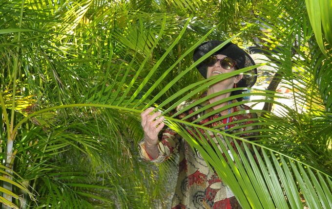 Really Groovy Gardens! – Walk showcases spectacular plantings - A palm tree on a green plant - Vegetation