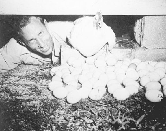 How To Kill Your Neighbor With Key Lime Pie - A black and white photo of a man - Key lime pie