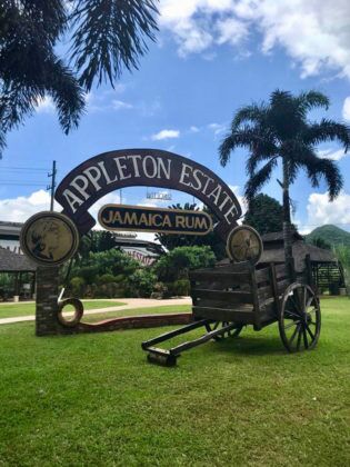 Jamaica in 24 Hours: An island adventure in a day - A group of people sitting on a bench in a park - Appleton Estate