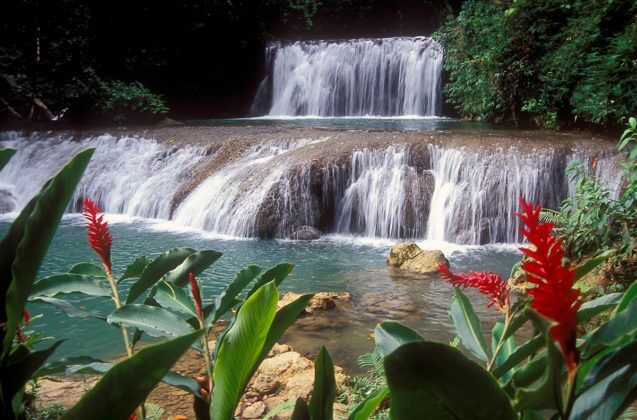 Jamaica in 24 Hours: An island adventure in a day - A large waterfall over some water - YS Falls