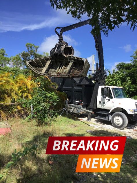 Last Irma Canal Cleanup