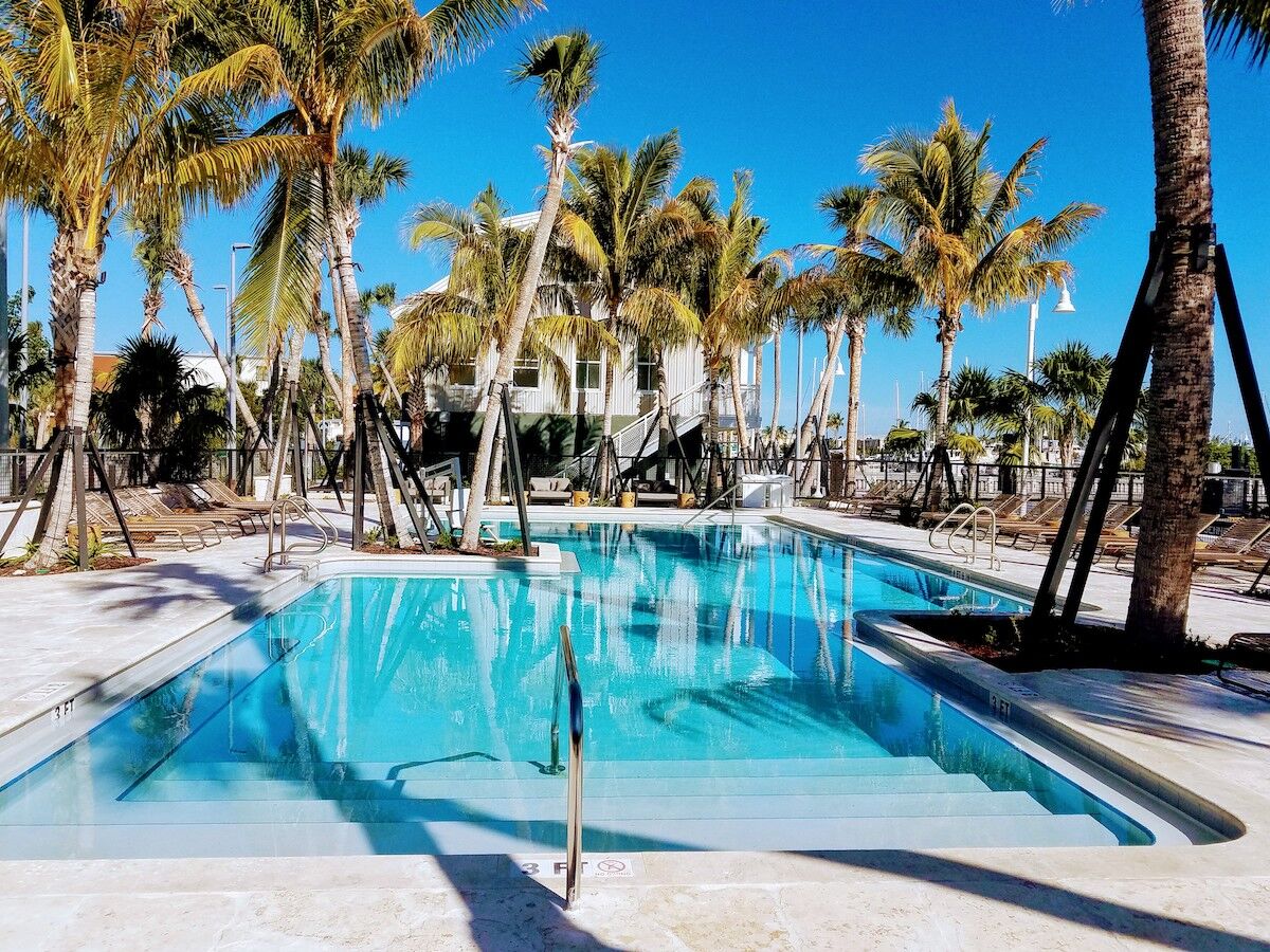 It takes a village… - A group of palm trees next to a pool of water - Resort town