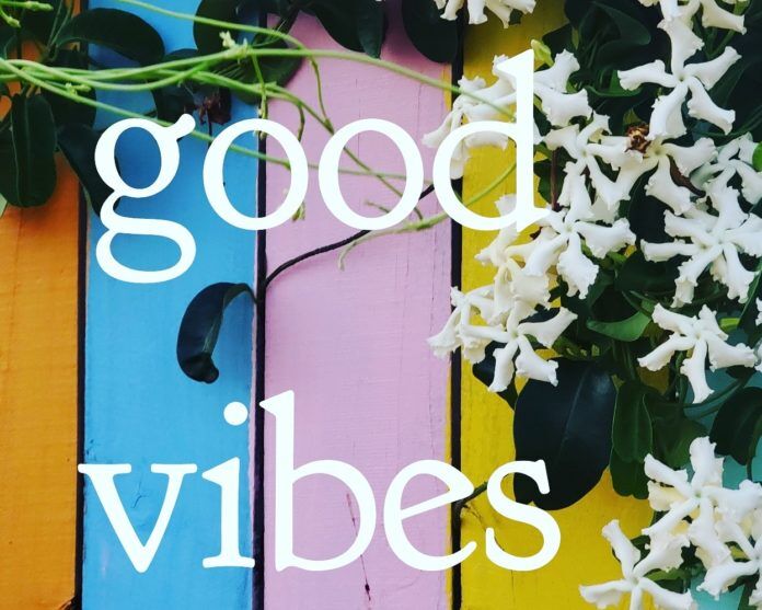 Good Vibes Snappers Fence
