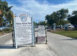 Forster looks to revisit parks and rec director position