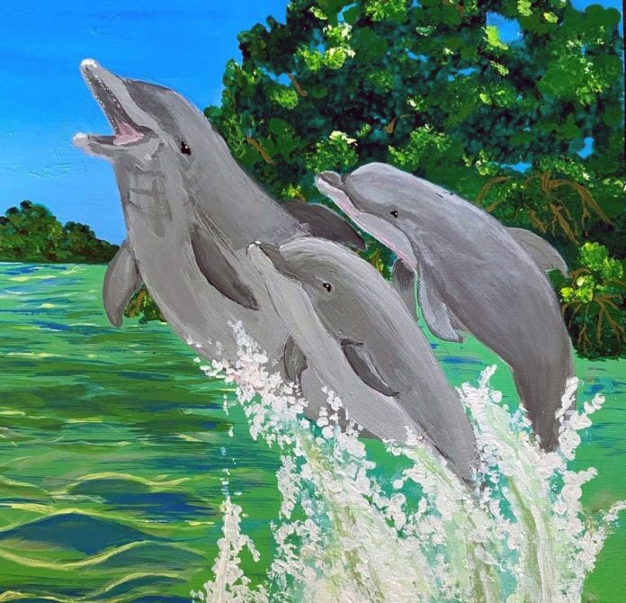 Kristi-Dolphins