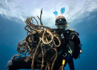 WEEKLY DIVE REPORT: VOLUNTEERS COLLECT TRASH ON EASTER DIVES