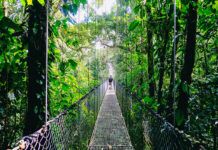 KEY WEST TO COSTA RICA: TRAVELING POST-COVID