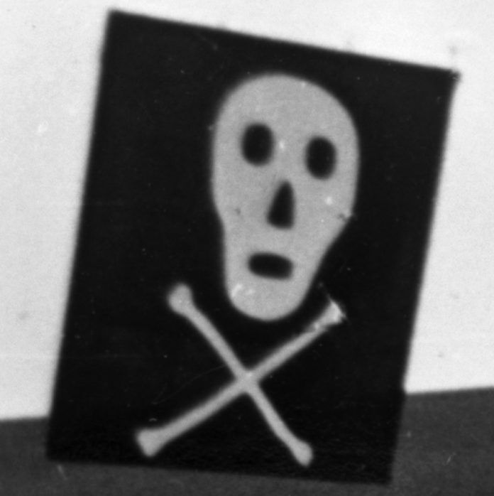 pirate-flag