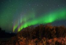 a green and purple aurora bore in the night sky