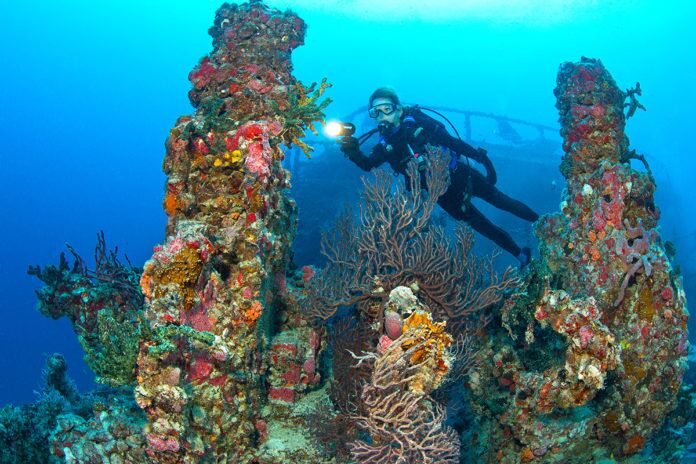 Spiegel a scuba diver swimming over a coral reef
