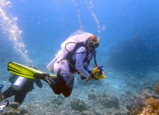 a man in a scuba suit and mask diving over a coral reef