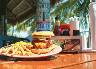 a plate with a hamburger and fries on a table