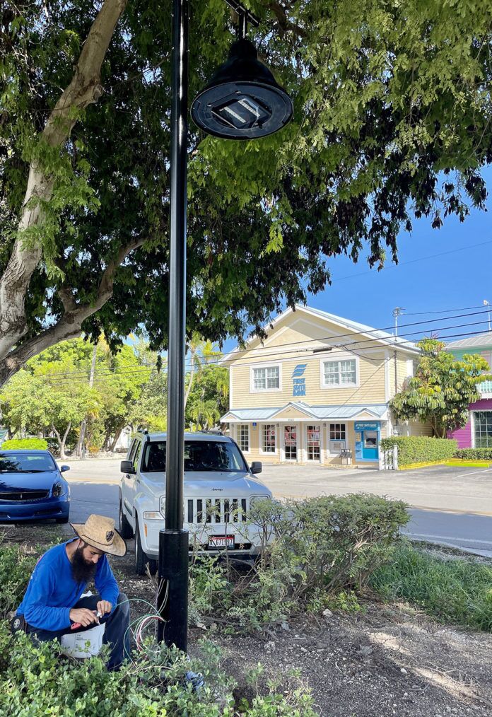 a man sitting under a tree next to a street