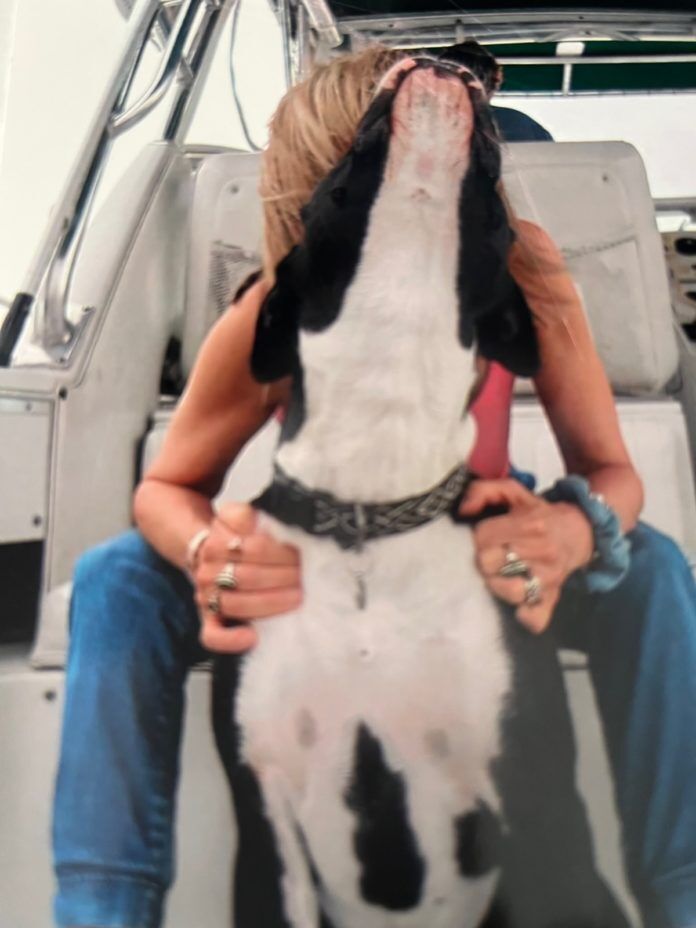 a person sitting on a boat with a dog