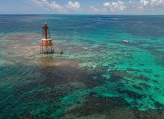 SAFEGUARDING WATER & WILDLIFE: TOP ENVIRONMENTAL STORIES OF 2022 a lighthouse in the middle of the ocean