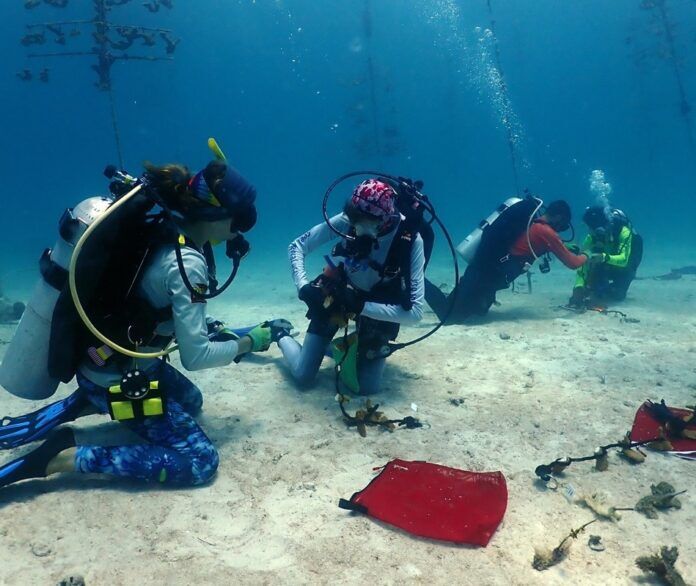 Prepping Corals_ReefRenewal Large a group of people in scuba gear on the ocean floor