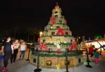 HOLIDAY EVENTS SPARKLE IN KEY WEST AND THE LOWER KEYS a christmas tree is lit up at night