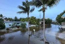 STORM SEASON PREP: GET OUT WHEN FORECASTS CALL FOR LIFE-THREATENING STORM SURGE a flooded street with palm trees and a house in the background