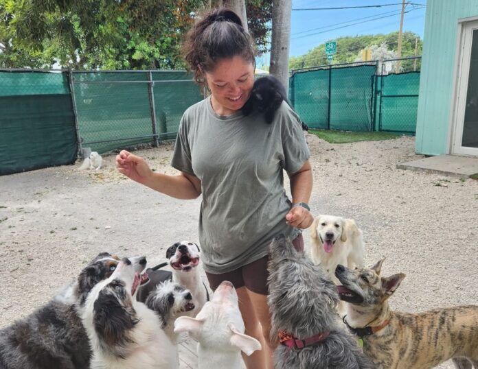 a woman standing in front of a group of dogs