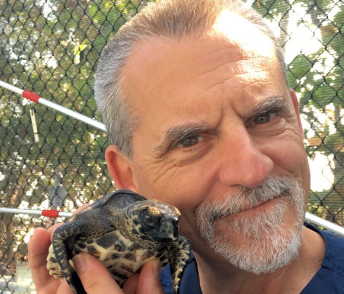Doug Mader with turtle a man holding a small turtle in front of a fence
