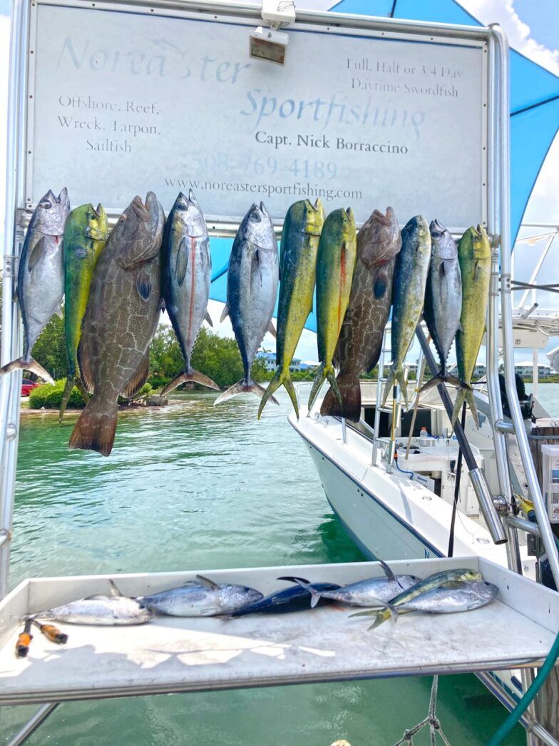 a group of fish hanging from a boat