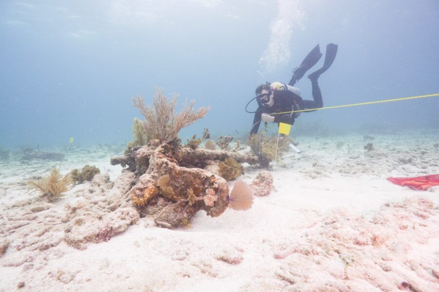 a man in a diving suit is on the ocean floor