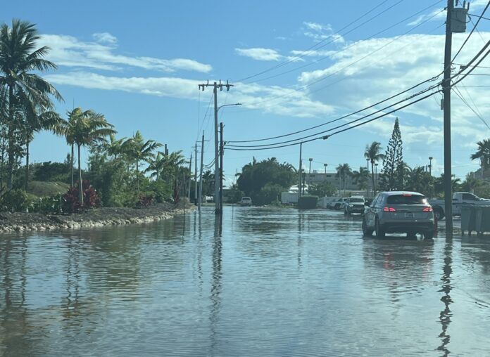 a car driving down a flooded street next to palm trees