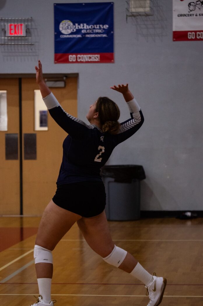 a female volleyball player in action on the court