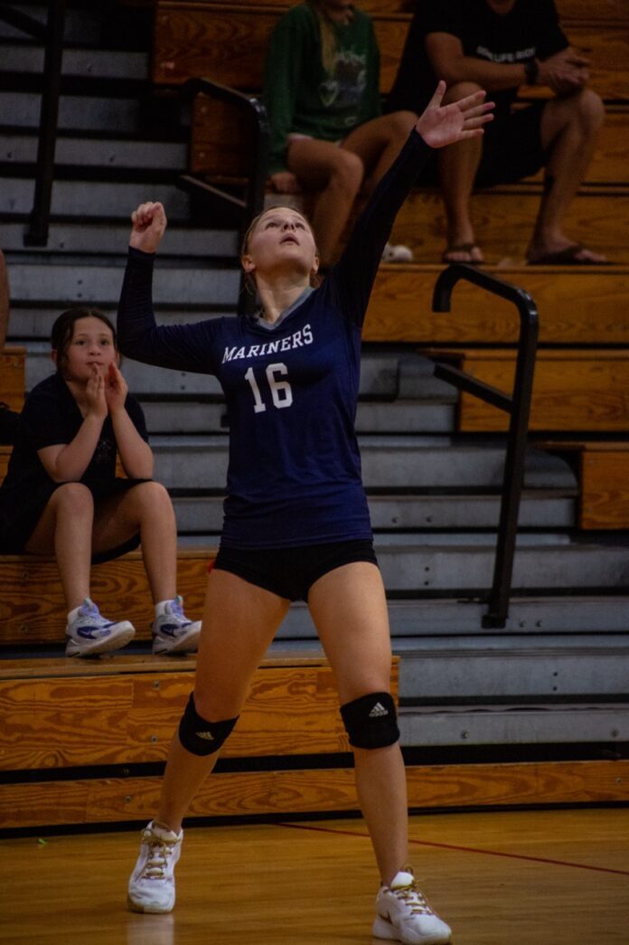 a girl in a blue uniform is playing volleyball