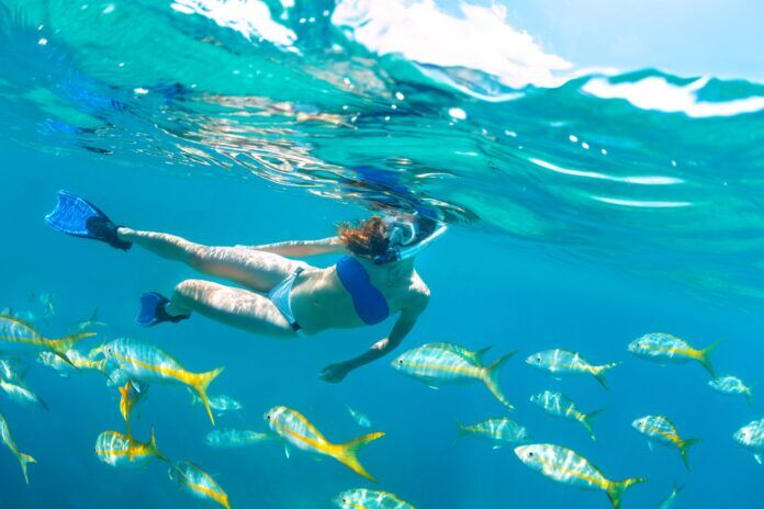MC-I-Woman-Snorkel-B a woman swimming in the ocean surrounded by fish