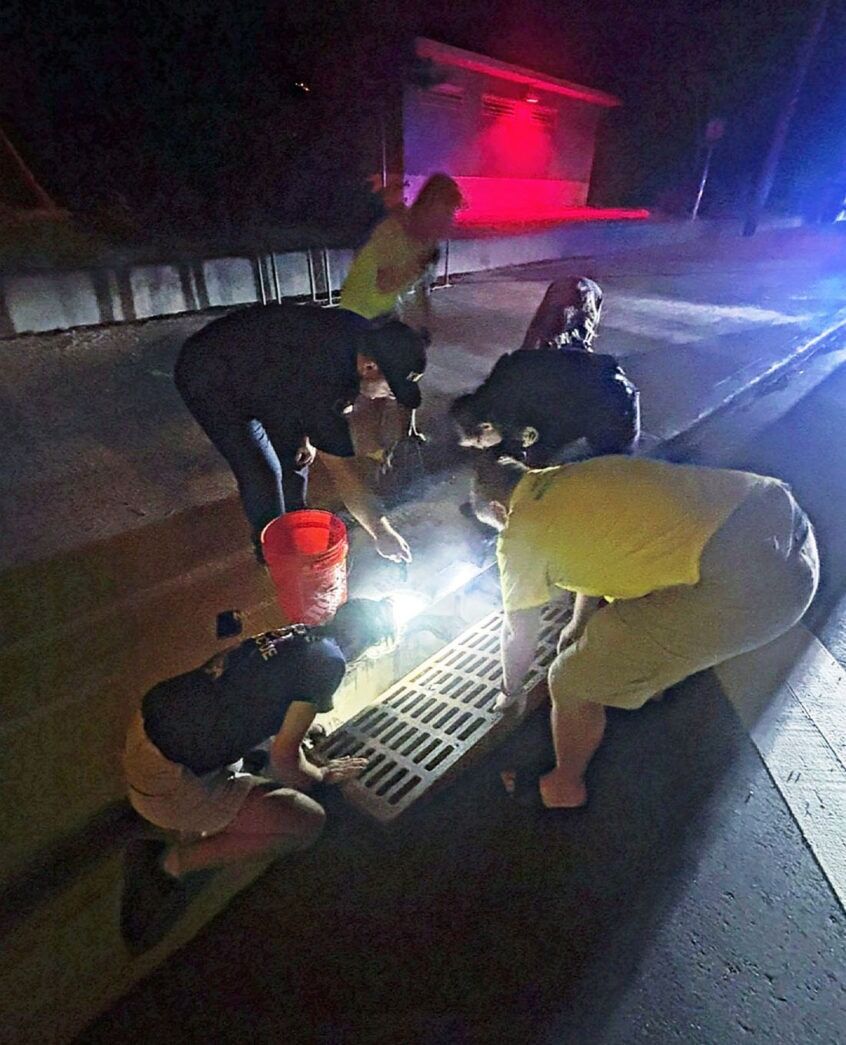 a group of people kneeling down next to a fire hydrant