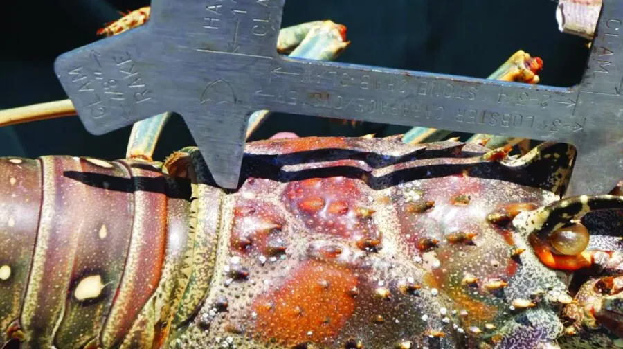 a close up of a large metal object