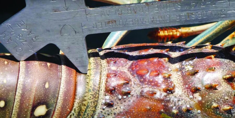 a close up of a metal object with a wrench on top of it