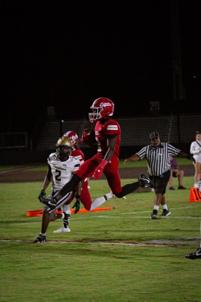 a football player jumping into the air to catch a ball