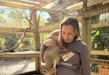 a woman holding a small animal inside of a cage