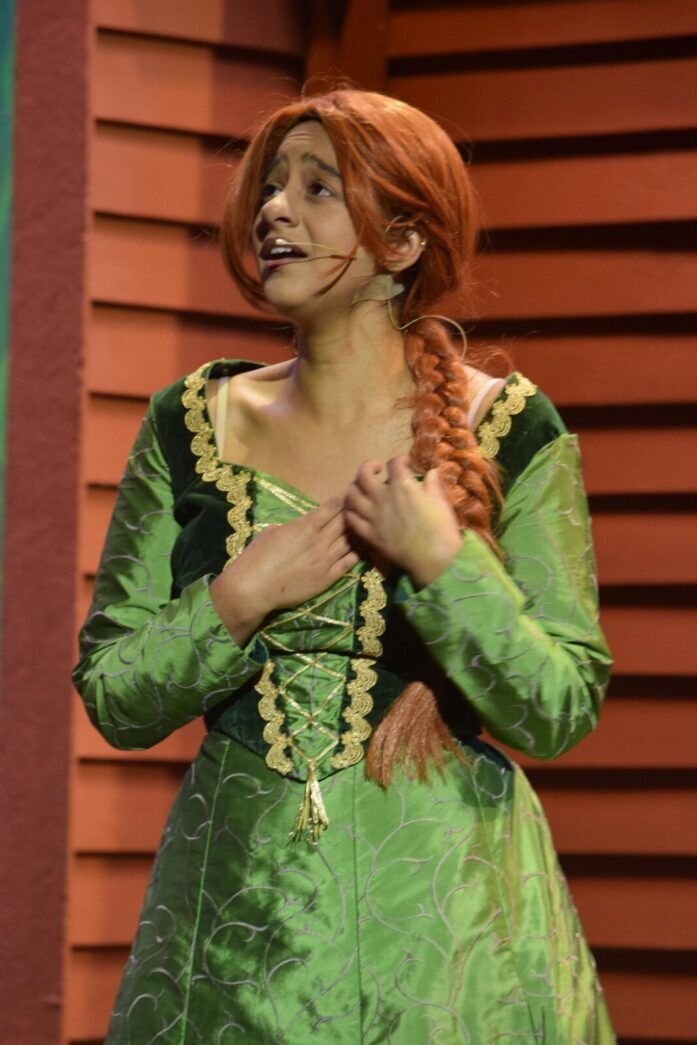 green dress red hair costume Batman Poison Ivy Costume Green Dress main image 0