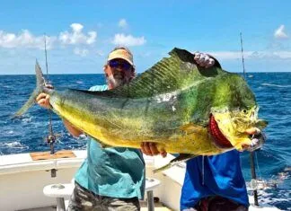 FLORIDA KEYS FISHING REPORT: WIND, YELLOWTAIL AND MAHI ON THE EDGE