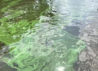 CLEAN WATER BEGINS ON LAND