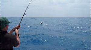 Snapshot_2010-03-29_19-57-43web