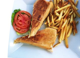 A sandwich and fries on a plate - French fries