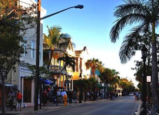 A close up of a busy city street lined with palm trees - Duval Street