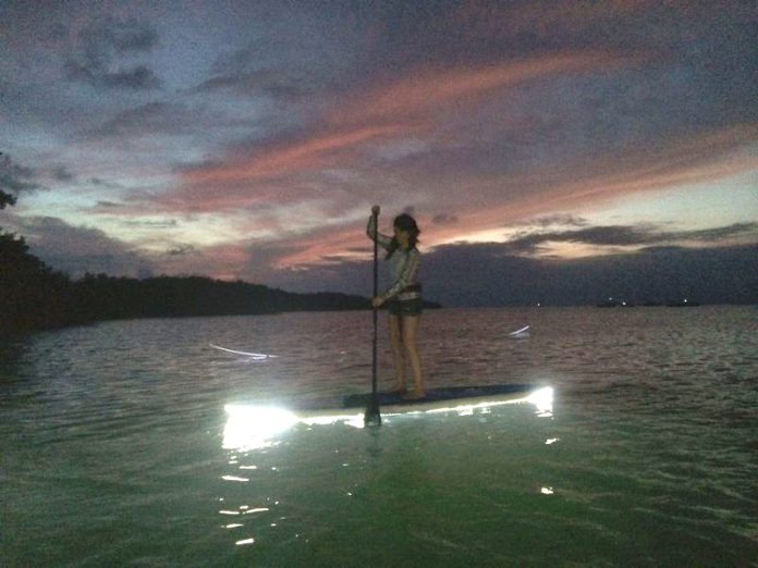 #LetYourLightShine: Take a night tour on a light-up paddleboard - A man standing next to a body of water - Water resources