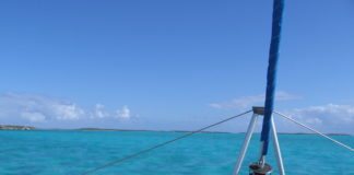 #Feature: Paradise Found Sailing - A person in a blue boat sitting next to a body of water - Sail