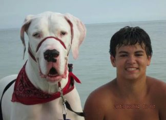 #News: Family recovers from houseboat fire & community responds - A person and a dog in a body of water - Great Dane
